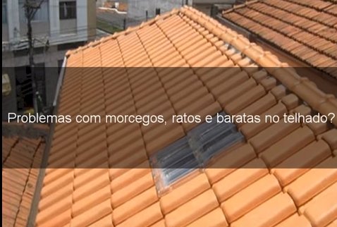 Telha Romana Transparente em Pet Injetada